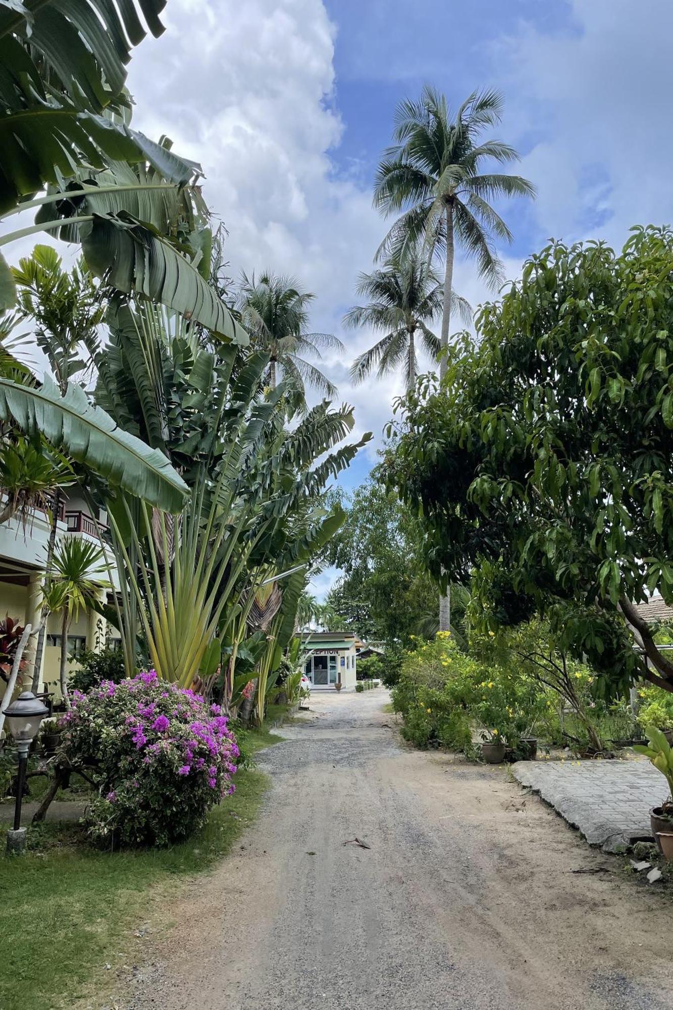 Hotel Sea Breeze Bungalow Lamai Beach  Exterior foto